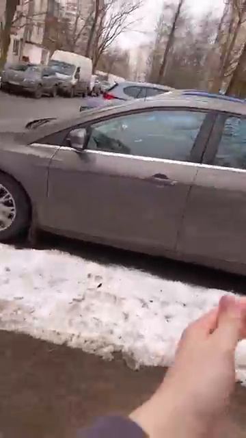 Правильная тонировка от АвтоВАЗа