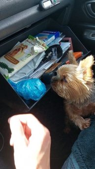 Попрашайка