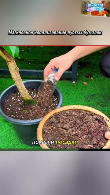 Лайфхаки