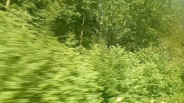 131.mp4