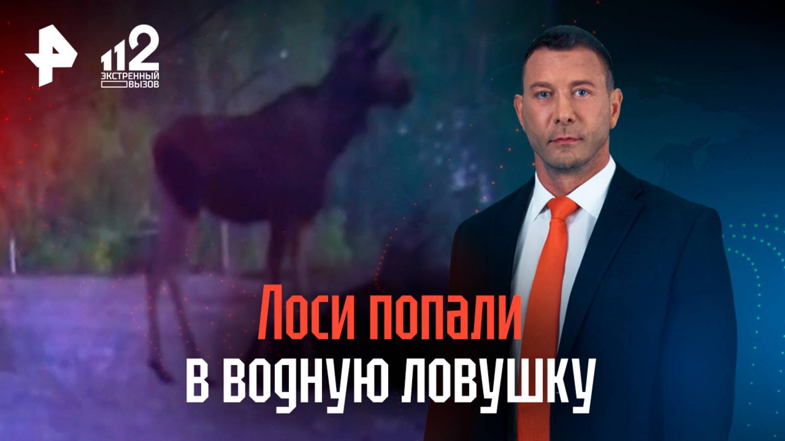 Два лосенка застряли на реке, попав в водную ловушку рядом с ГЭС