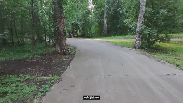 DJI NEO FPV Михайловская роща, Томск