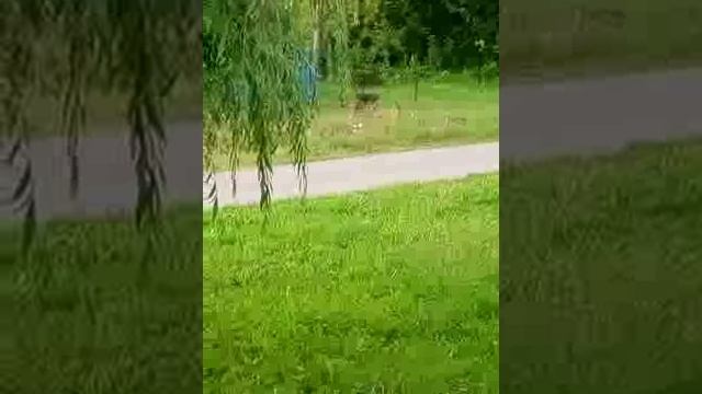 Травят со всех сторон