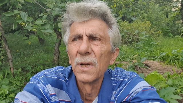 Листья жёлтые. В Прошлое бросок!