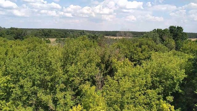 Спускаемся из Меловой пещеры в Воронежской области