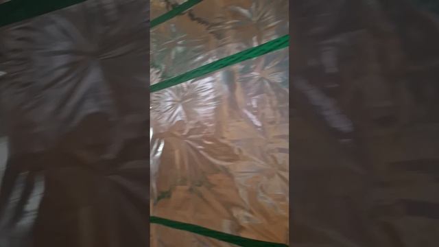 1000029324.mp4 (Собака наблюдает за креплением имитации бруса, планированием каркаса в доме А-фрейм)