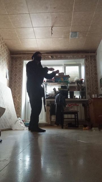 Very Nordic Ninja: Raven Kicks (17.07.25) Крайне Северный Ниндзя: Вороновы Взбрыки #VeryNordicNinjA