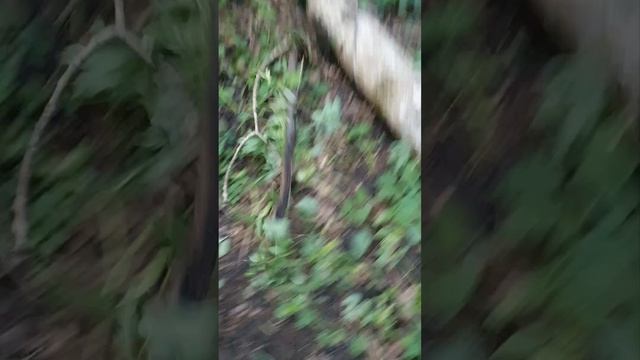 Расчищаю дорогу до автобуса бабусям
