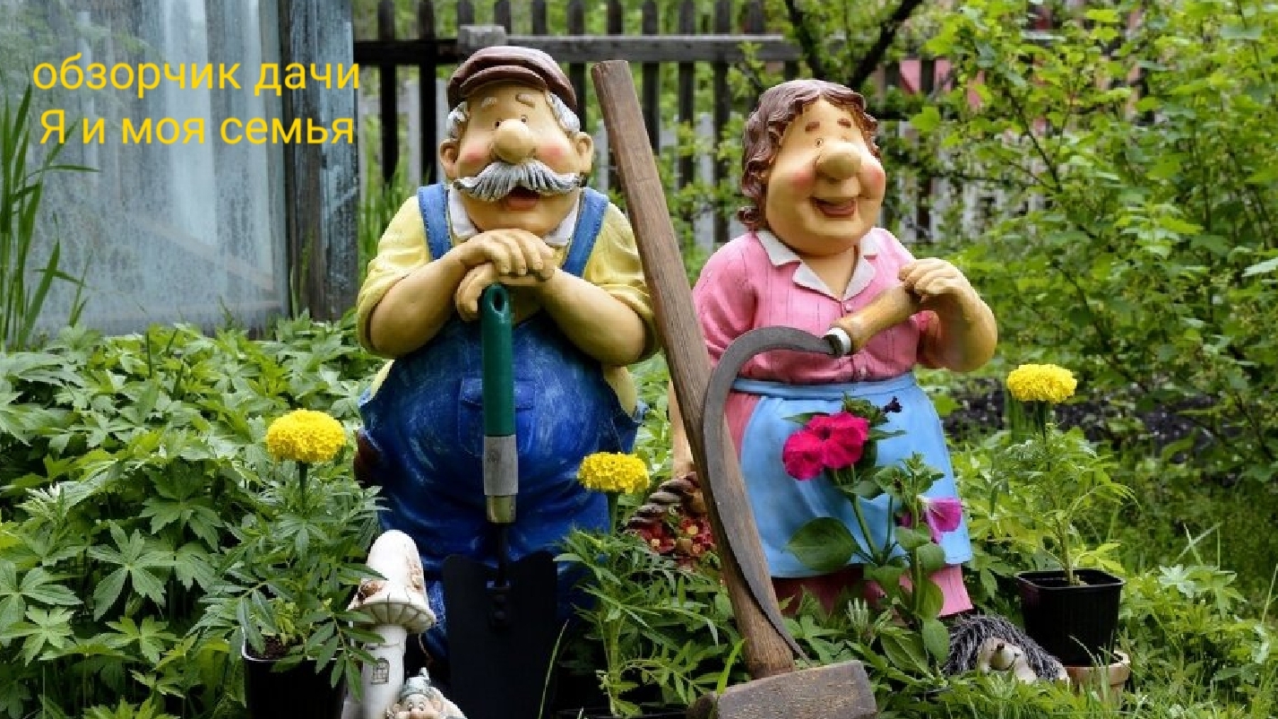 Ходим по даче,небольшой обзор растений и что успели сделать этим летом