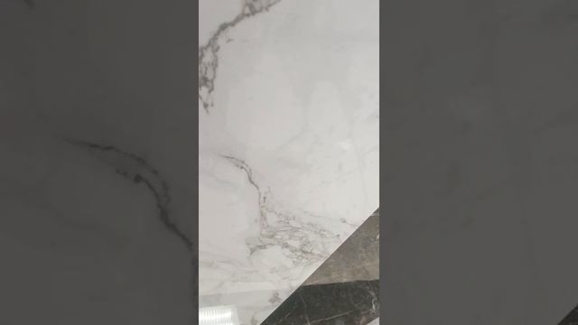 1000195300.mp4
