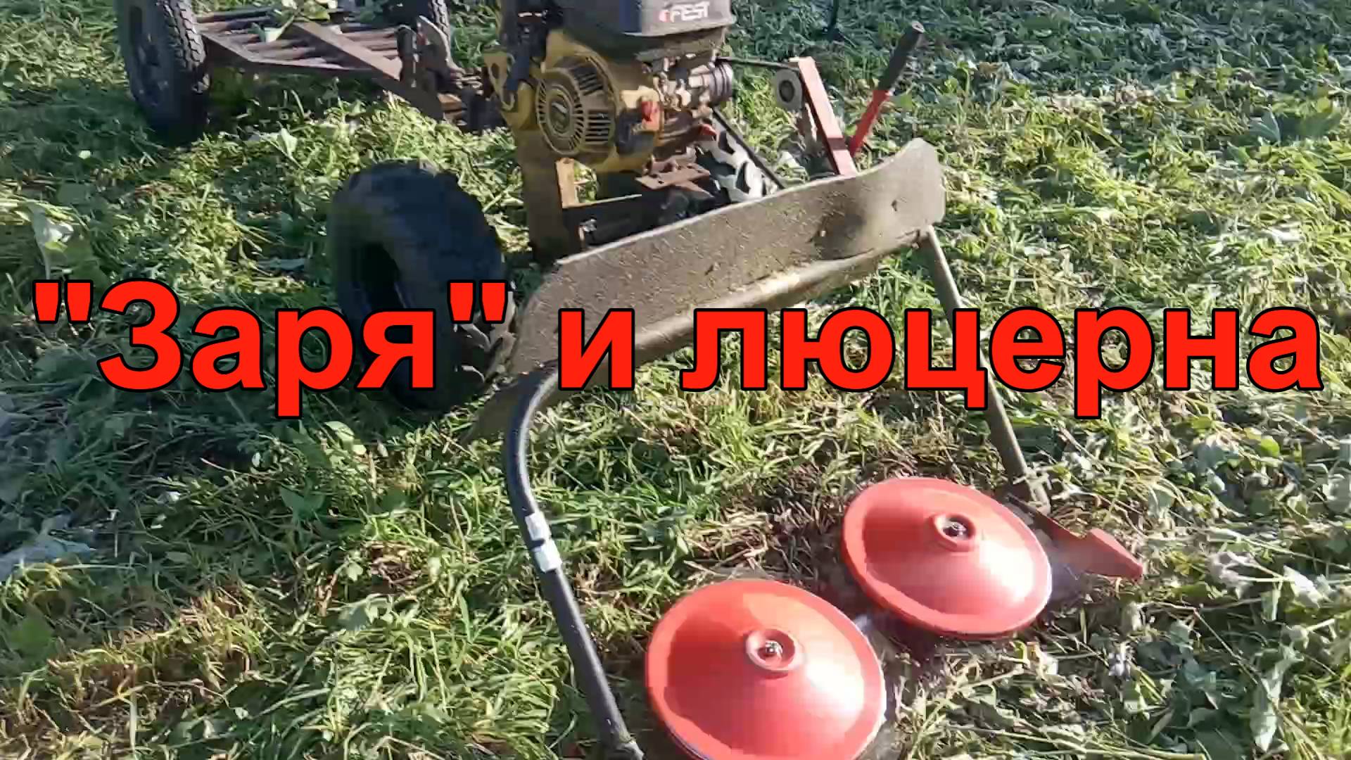 "Заря" и люцерна. (MVDNES - One Chase)