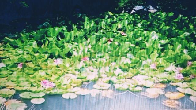 Лицо без имени: невидимый подтекст