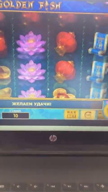 18 мая 2024 г.
