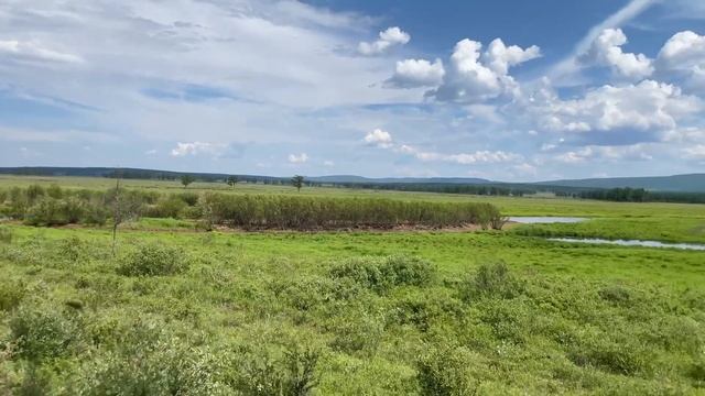 На природу
