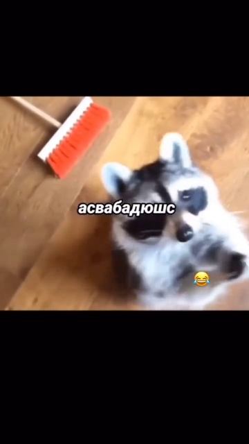 Я и она