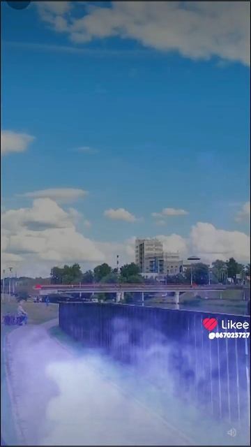 Там где клён шумит