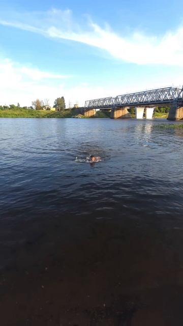 3 ДЕНЬ!! НЫРЯЮ В ВОДУ КАЖДЫЙ ДЕНЬ!
#челлендж #челендж #365 #испытание #PIROZHNIKOV #tiktok