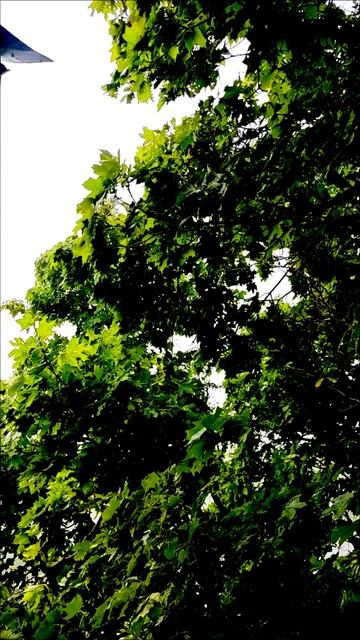 гроза Балаково ⚡