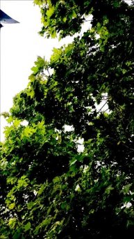 гроза Балаково ⚡