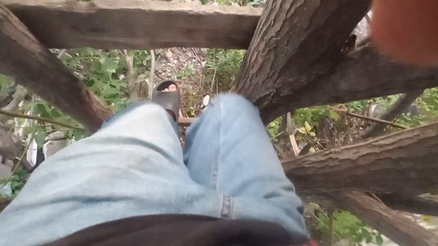 1000049849.mp4