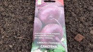 Свёкла. Удачная посадка в июле. Крупная и очень сладкая.
