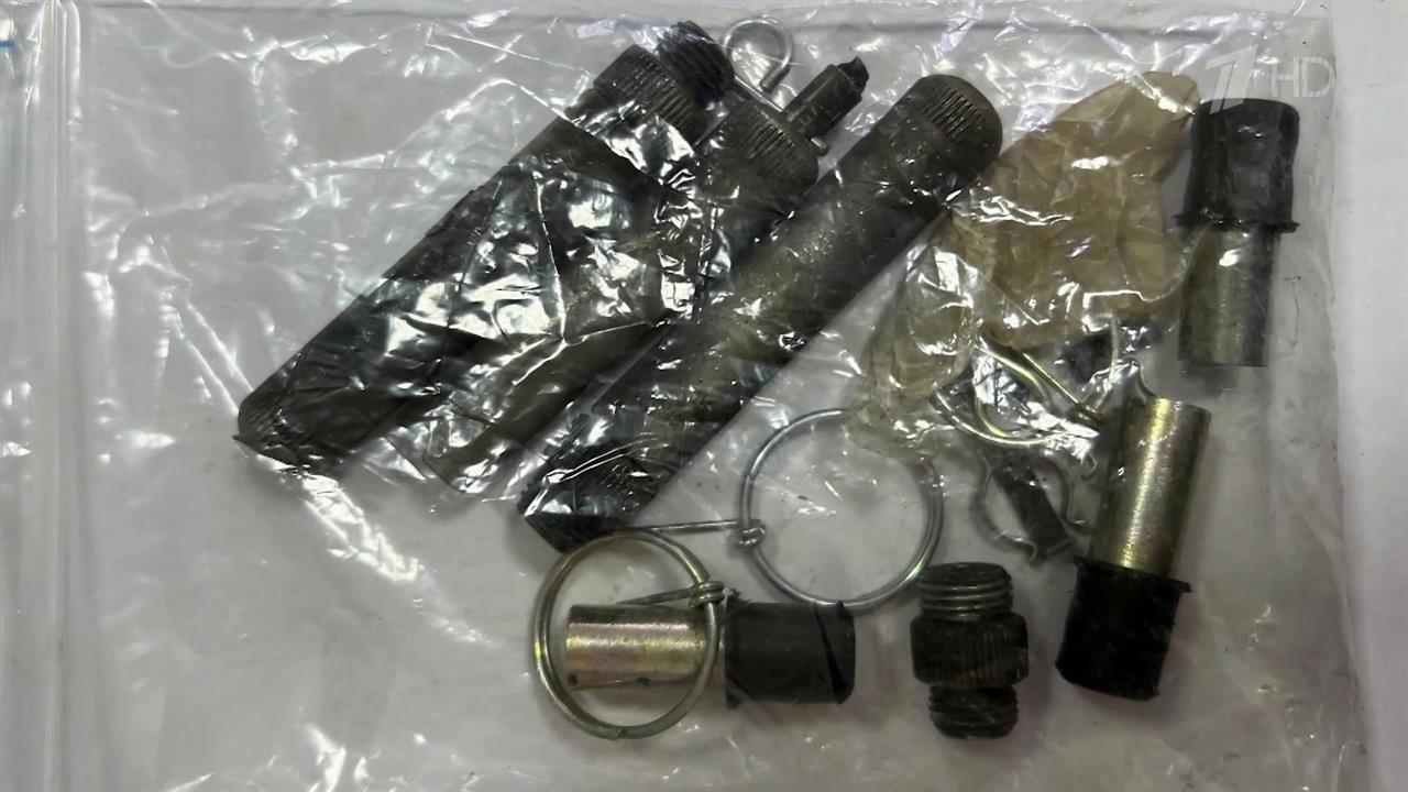 Пожизненное заключение грозит задержанному в Воронежу украинскому агенту