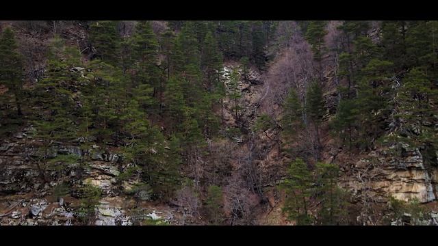 ручей (CREEK)