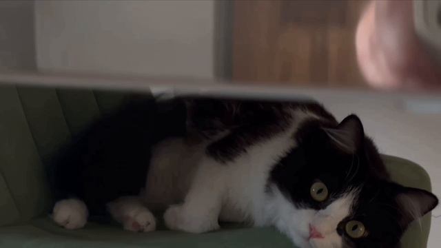 Я обиделась!!!