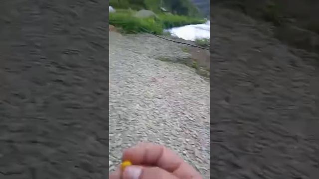 Удачная рыбалка.🥹🧐🧐🧐🧐