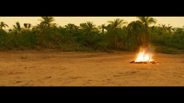 Песок, пальмы и огонь