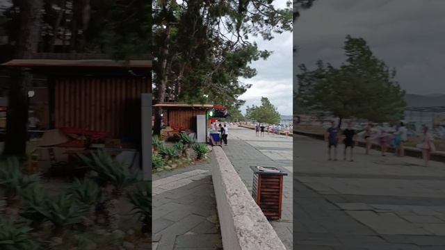 абхазия Пицунда черное море начало шторма