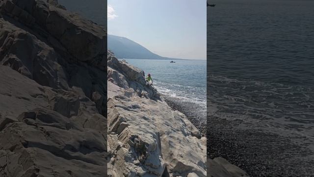 абхазия белые скалы. море. дельфины