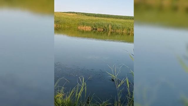 Наконец- то вырвались на рыбалку, немного отдохнуть,( улов не главное главное процесс.)