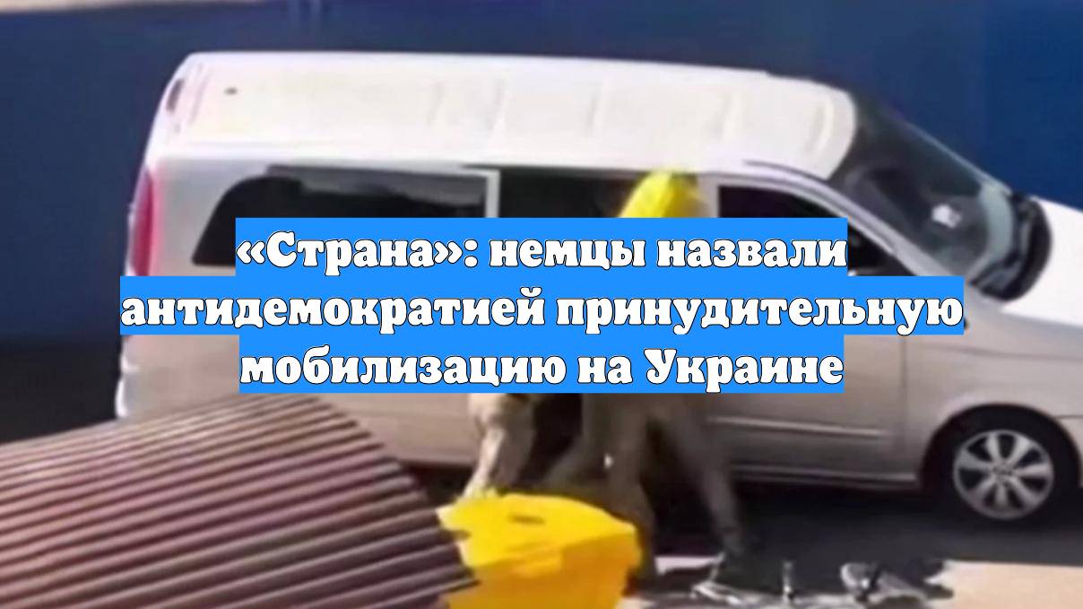 «Страна»: немцы назвали антидемократией принудительную мобилизацию на Украине