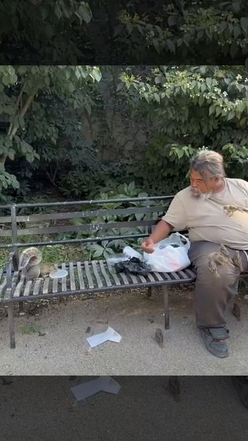 Мужчина кормит белочек и птиц 🐿️😉😋🕊️