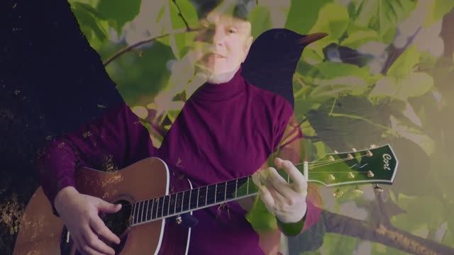 PAUL McCARTNEY (Сover )- Blackbird - ОЛЕГ ЮРАСОВ - Научись летать заново...