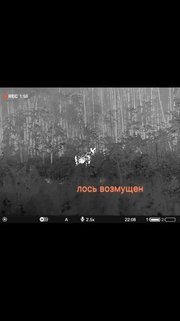 Разведка угодий