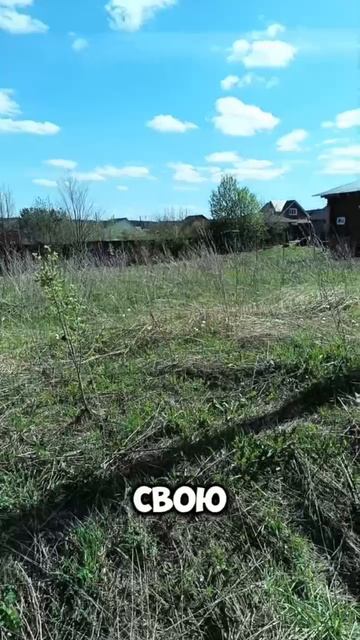video_2025-07-17_09-19-09