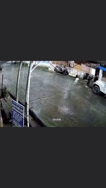 Они думали это обычная кошка