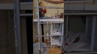 Делаю Ловец Солнечных Лучей #ШаШаШу #ЛадушкиОтЗлатушки