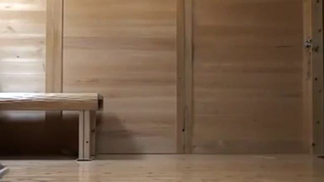 Кот помощник по дому Смотреть видео прикол