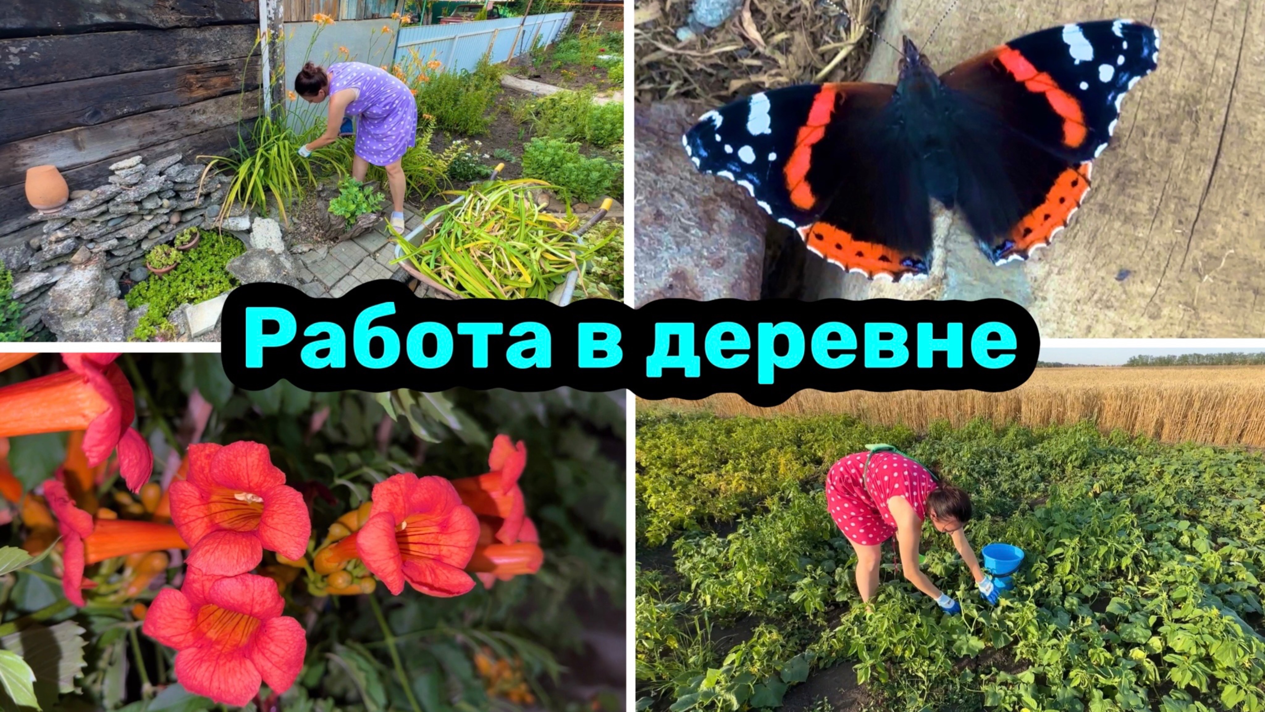 СРОЧНО УЕЗЖАЕМ / РАБОТА в ДЕРЕВНЕ / Чистота и порядок на участке / Мои будни.