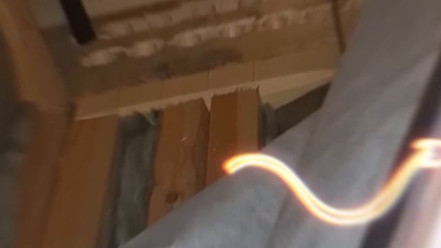 1000029382.mp4 (Собака наблюдает за креплением имитации бруса, планированием каркаса в доме А-фрейм)