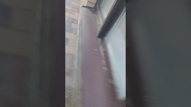 VID_20250717_201446.mp4
