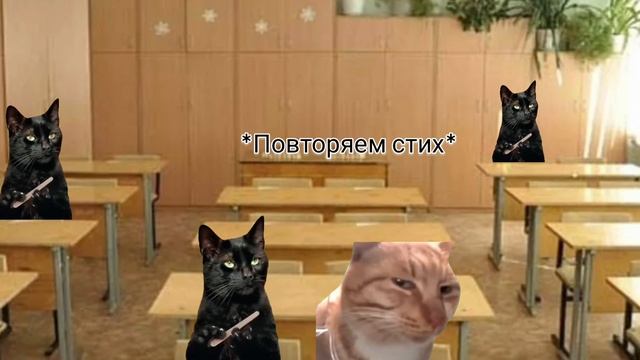 Рил:мой типичный понедельник/часть 3