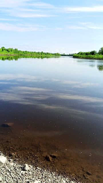 Рыбалка на Ерша с донкой