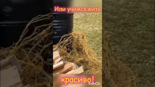 1000107203.mp4