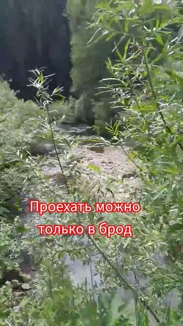 Едем на семь дней за хариусом