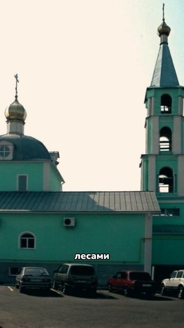 Железногорск (курск обл)