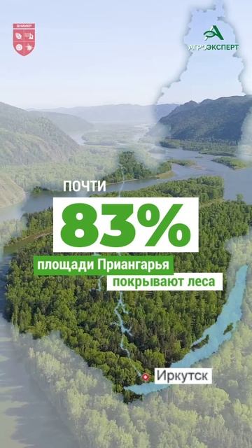 18 июля завершится Международная научно-практическая конференция «Защита леса — защита будущего»